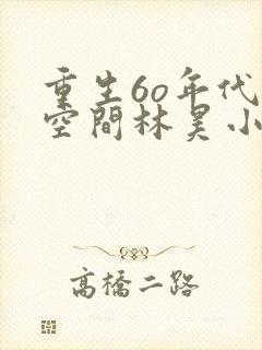 重生6o年代带空间林昊小说