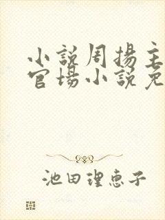 小说周扬主角的官场小说免费阅读封面