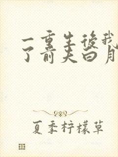 一重生后我顶替了前夫白月光