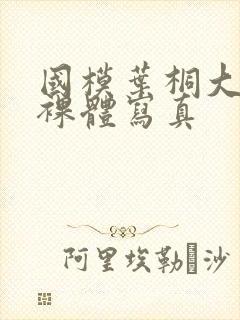 国模叶桐大尺度裸体写真封面