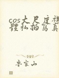 cos大尺度裸体私拍写真封面