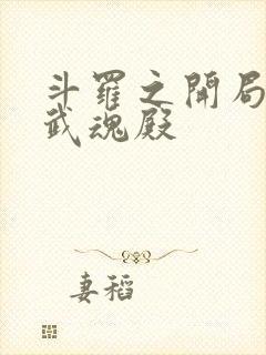 斗罗之开局加入武魂殿