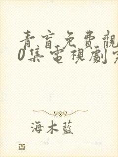 青盲免费观看50集电视剧完整版有新剧封面