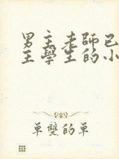 男主老师已婚女主学生的小说