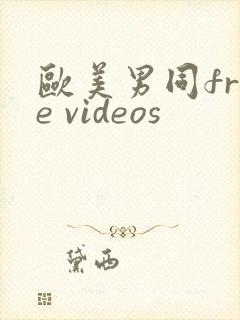 欧美男同free videos