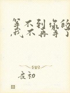 等不到你的回应,我不再等了