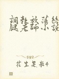 调教放荡丝袜美腿老师小说