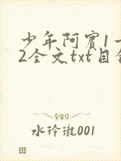 少年阿宾1一72全文txt目录封面