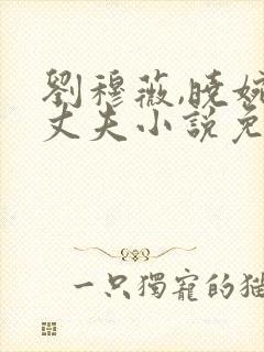 刘穆薇,晓婉,丈夫小说免费观看封面