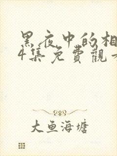 黑夜中的相拥24集免费观看