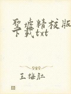 圣墟精校版完结下载txt