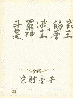 斗罗:我的武魂是神王唐三