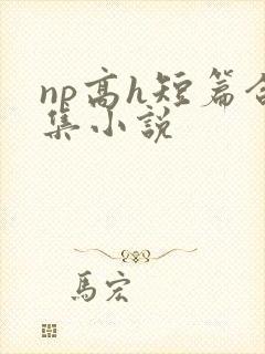 np高h短篇合集小说