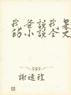 我爸说我是捡来的小说全文免费阅读封面