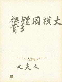 裸体国模大n欣赏3