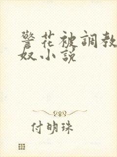 警花被调教成女奴小说