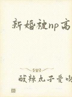 新婚被np高h