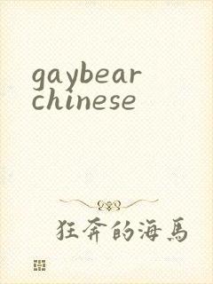 gaybearchinese封面