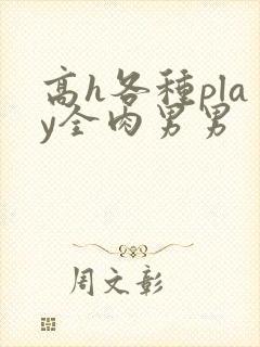 高h各种play全肉男男封面