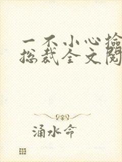 一不小心捡到个总裁全文阅读