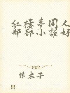 红楼梦同人小说哪部小说好看封面