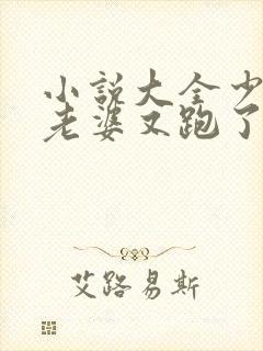 小说大全少帅你老婆又跑了