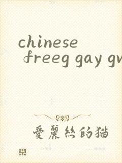 chinese freeg gay gv tv