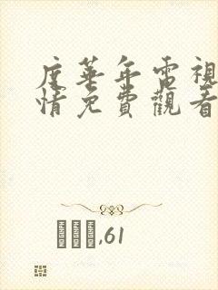 度华年电视剧剧情免费观看