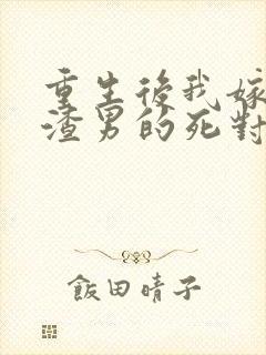 重生后我嫁给了渣男的死对头连载封面