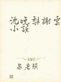 沈晚梨谢云迟的小说