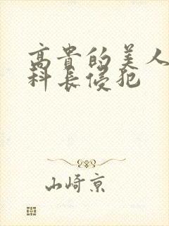 高贵的美人妻被科长侵犯封面