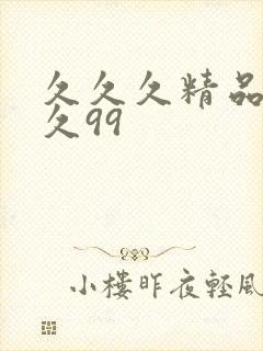 久久久精品久久久99