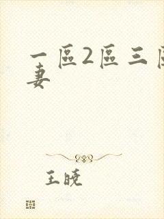 一区2区三区人妻