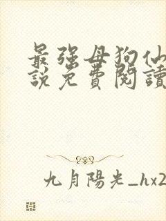 最强母狗仙女小说免费阅读无弹窗笔封面