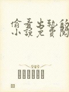 偷看出轨的老婆小说免费阅读