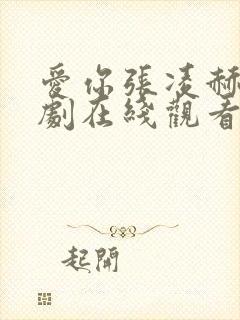 爱你张凌赫电视剧在线观看第9集免费