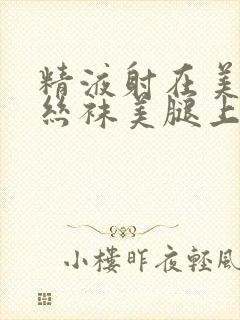 精液射在美女肉丝袜美腿上