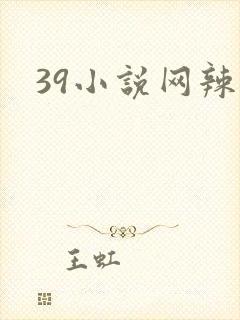 39小说网辣文