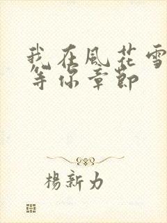 我在风花雪月里等你章节