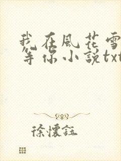 我在风花雪月里等你小说txt免费下载