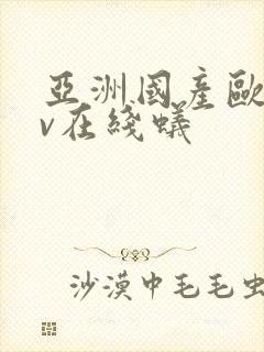 亚洲国产欧美av在线蚁