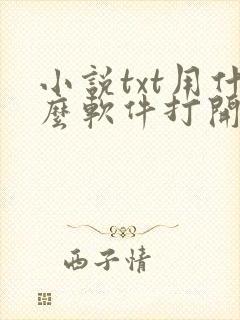 小说txt用什么软件打开比较好封面