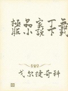 极品家丁无删减版小说下载