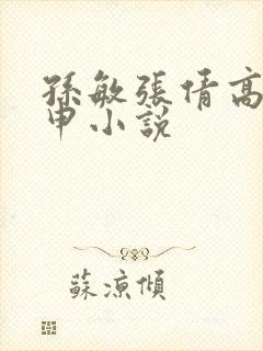 孙敏张倩高义王申小说