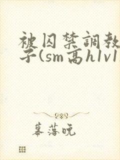 被囚禁调教的日子(sm高h1v1)