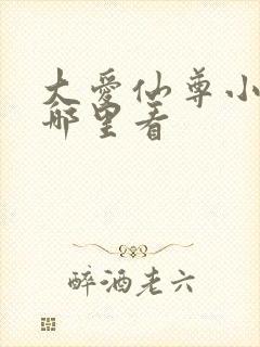 大爱仙尊小说在哪里看