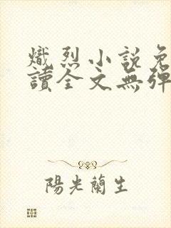 炽烈小说免费阅读全文无弹窗