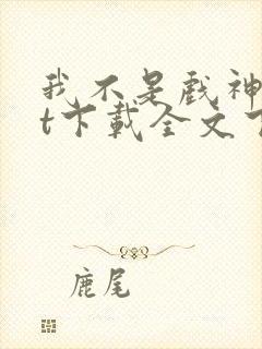 我不是戏神txt下载全文下载