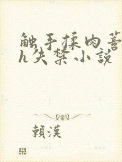 触手揉肉蒂高潮h失禁小说