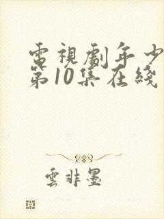 电视剧年少有为第10集在线观看